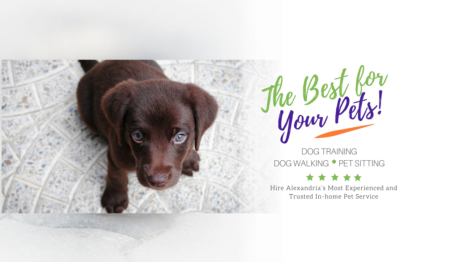 Hello 2018 for Website Alexandria Pet Care Pet Sitting