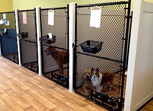 veterinary boarding kennels